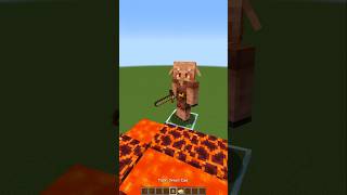 Piglin IQ Test in Minecraft😱 もういいよ [upl. by Beltran446]