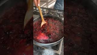 Aprende a hacer Chamoy Casero  Chef Ana Casanova [upl. by Stiruc]