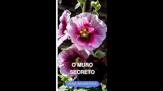 Poema quotO Muro Secretoquot Anna Akhmatova shorts poesia amor [upl. by Ellek]