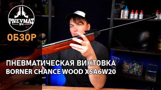 Пневматическая винтовка Borner Chance Wood [upl. by Dom]