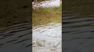 tum sath ho ya na ho kya fark hai। agar tum sath ho natural views of hills। satpuli river uk [upl. by Nahtaoj249]