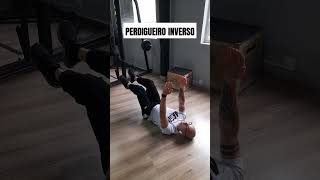 PERDIGUEIRO INVERSO academia fitness [upl. by Uba376]