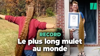 Le record de la plus longue coupe mulet existe et il revient à une Américaine de 58 ans [upl. by Rahs]