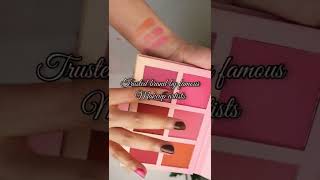 Best blush palette ever Imagic touch blush palette  Swatches and Review [upl. by Neelyam]