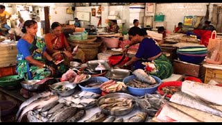 दांडी का फिश मार्केट DANDI Fish Market  Largest Fish Market In Palghar [upl. by Ashien851]