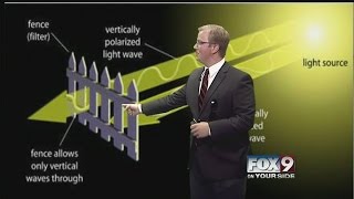 How polarized lenses work [upl. by Prissie]