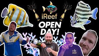 New Saltwater Aquarium Shop Tour UK  iReef Rochdale [upl. by Okimuy]