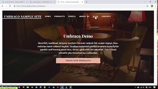 Umbraco 8 Cloud  Create and Publish an Umbraco Package [upl. by Jelle]