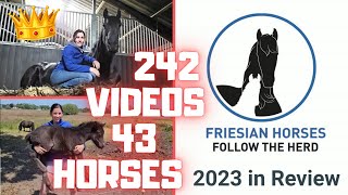 Friesian Horses Review 2023  Wow What a year Dreams came true thanks admins❤️ Friesian Horses [upl. by Odanref]