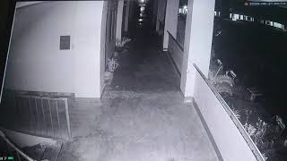 Cctv ghost 👻 in Talavera senior high school [upl. by Mima]