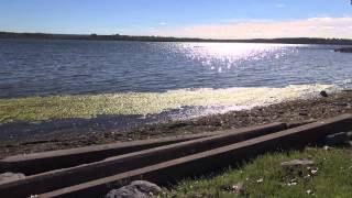 Onondaga Lake algae bloom [upl. by Dira]