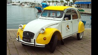 Raduno mondiale 2CV a Torun Polonia agosto 2015 [upl. by Airemahs541]