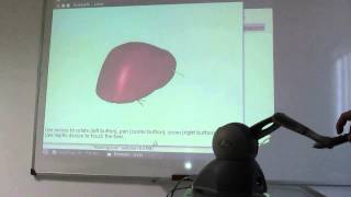 Haptic simulation of liver palpation [upl. by Iene]