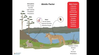 2 1 Biotic Abiotic rotation [upl. by Netsirc]