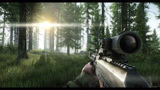 MISION SALIR DEL BOSQUE en Escape From Tarkov [upl. by Silverts]