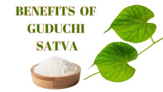 Guduchi Satva – Benefits Dosage Ingredients Side Effects [upl. by Artenahs404]