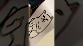 Ripndip cat [upl. by Omsare380]