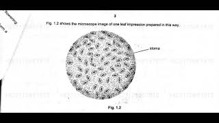 Solved 9700 Biology Paper variant 51 May June 2022 [upl. by Erodoeht]