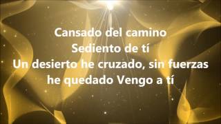 Sumérgeme En el río de tu espíritu con letra [upl. by Rozamond]