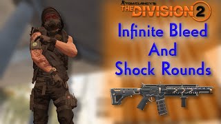 Unbelievable Infinite Ammo And Status  Division 2 Dps Build [upl. by Raamal]