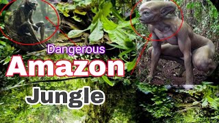 Amazon jungle history in Hindi Amazon jungle ka rahasya  Amazon forest facts  Amazon forest [upl. by Devinne]