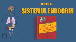 C13 Sistemul endocrin  LIVE BARRONS ADMITERE MEDICINĂ [upl. by Hilde]