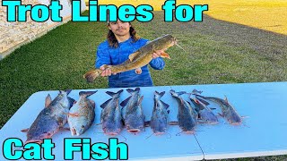 TrotLine Fishing for CATFISHcatch clean and cook [upl. by Inahc]