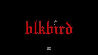 Lund  BlkBird Legendado [upl. by Gernhard478]