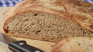 No Knead Rye Bread Recipe Demonstration  Joyofbakingcom [upl. by Anatol]