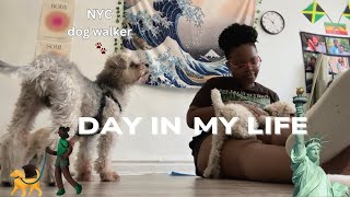 Day in the Life of a Dog Walker 🐶🐾  NYC  Vlogmas [upl. by Gabi]