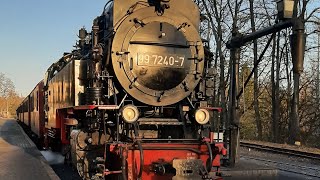 🌲🍁🍂🚂 99 7240 Zwischen Wernigerode Hauptbahnhof und Wernigerode  Westerntor 10112024 🚂🍂🍁🌲 [upl. by Georgie]