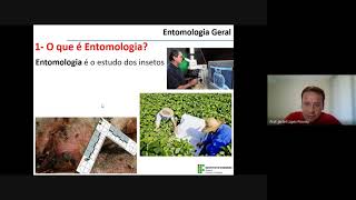 Entomologia Geral  Aula 02  Origem e Evolução dos Insetos [upl. by Dlorag]