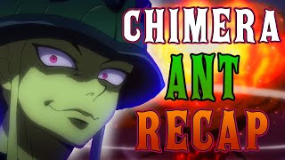 Hunter x Hunter Chimera Ant Arc RECAP [upl. by Eceirtal848]