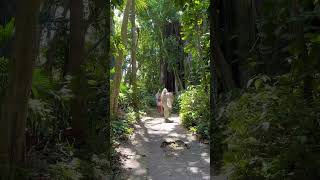 Explore a Historic Fort in Bermuda  Go To Bermuda [upl. by Burkhart]