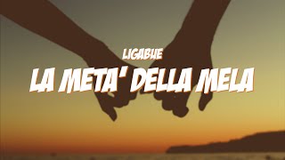 LA META DELLA MELA  Ligabue Lyrics  Testo [upl. by Ikkiv]