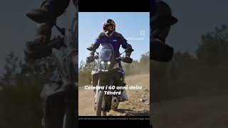 Yamaha Ténéré 700 World Raid novità 2023 [upl. by Weston534]