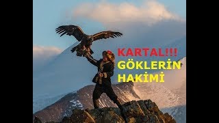 Kartalların Avlanması  Göklerin Hakimi Kartal [upl. by Eiba]