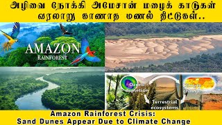 அழிவை நோக்கி Amazon மழைக் காடுகள் வரலாறு காணாத மணல் திட்டுகள்  Amazon Rainforest SDCWorld [upl. by Enyehc]