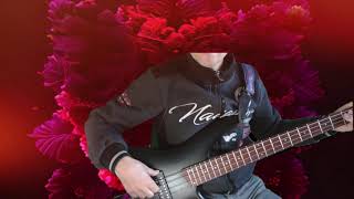 Francis Cabrel La corrida bass cover [upl. by Lesna]