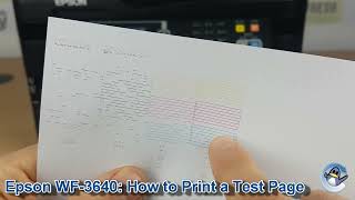 Epson Workforce WF3640 How to Print a Nozzle Check Test Page [upl. by Veno446]