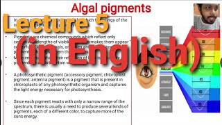 Algae Lecture 5  Algal Pigments [upl. by Ahsille]