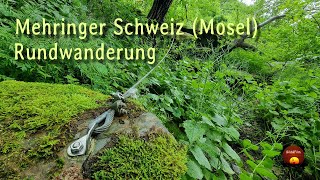 Kurze Rundwanderung durch die Mehringer Schweiz Mosel an einem verregneten Tag [upl. by Ytsirc]