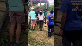 WHAT WE SEE AT JUNGLE SAFARI jungle safari [upl. by Elamor]