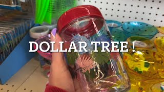 SHOP WITH ME  DOLLAR TREE  NEW FINDS  shopping [upl. by Lotsyrk879]