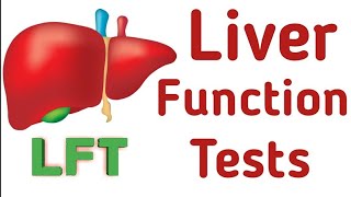 LFT Test kya hota hai LFT test kyu karaya jata hai LFT full details in hindi liver ka test [upl. by Diena]