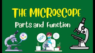 Microscope Parts and Functions  Grade 7 Science DepEd MELC Quarter 2 Module 1 UPDATED VERSION [upl. by Nennarb]