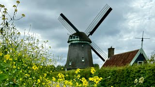 Noord Holland Bike Ride [upl. by Josias994]