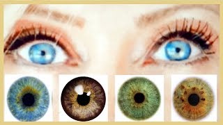 The SECRET to making your EYE COLOR POP [upl. by Melcher21]