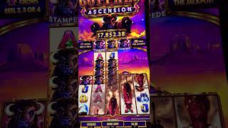 Super Stampede Mega jackpot hit Lots and lots and slots machine Buffalos Lucky casino bet [upl. by Kellyn]