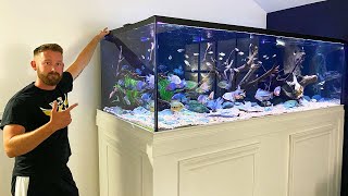 MASSIVE 600 GALLON CENTRAL AMERICAN CICHLID TANK [upl. by Elleral]